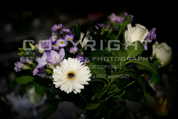 _MG_7644 (2)