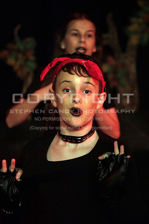 _MG_0896 (2)