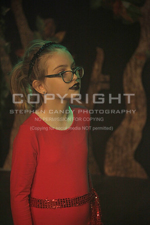 _MG_1201 (2)