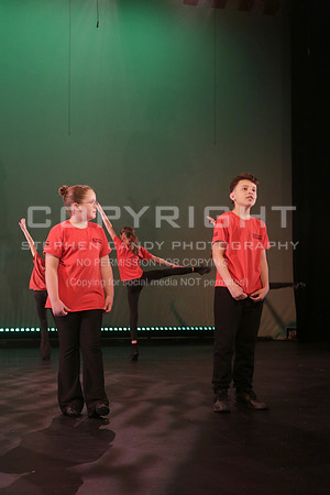 _MG_2519 (2)