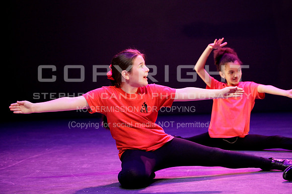 _MG_3380 (2)