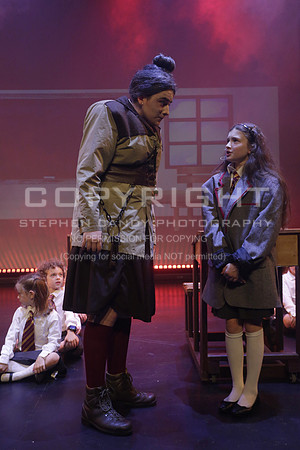 _MG_3986 (2)