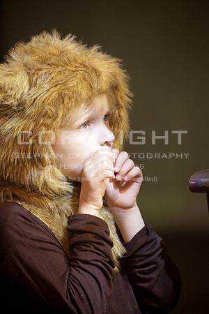 _MG_3296 (2)