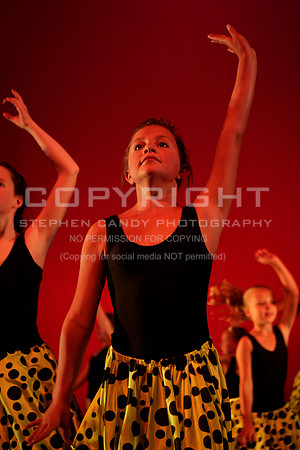_MG_0817 (2)