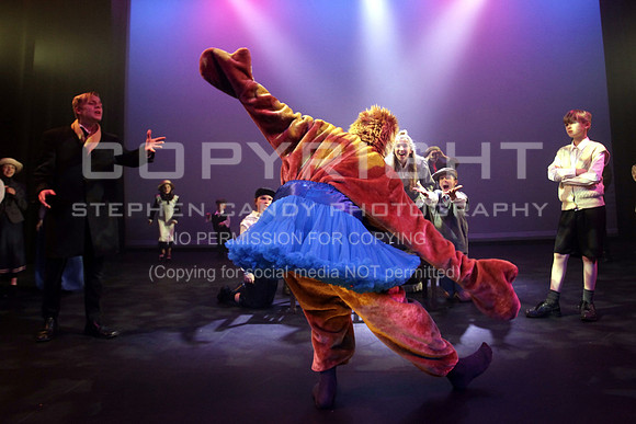 _MG_3540