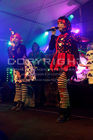 _MG_6416 (2)