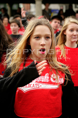 _MG_4774