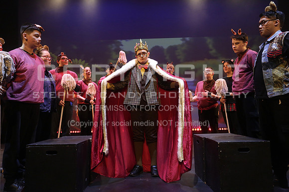 _MG_0262