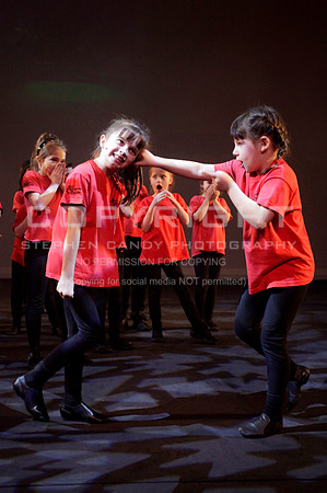 _MG_3667