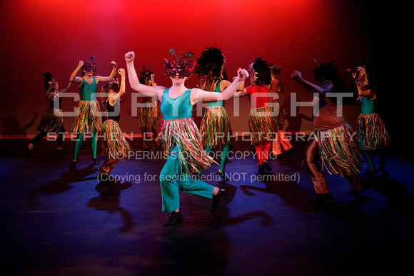 _MG_0951