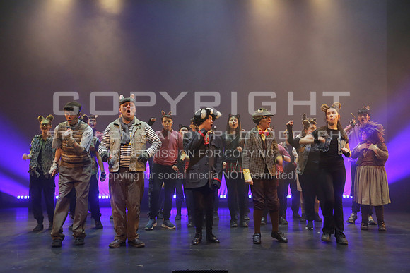 _MG_0654