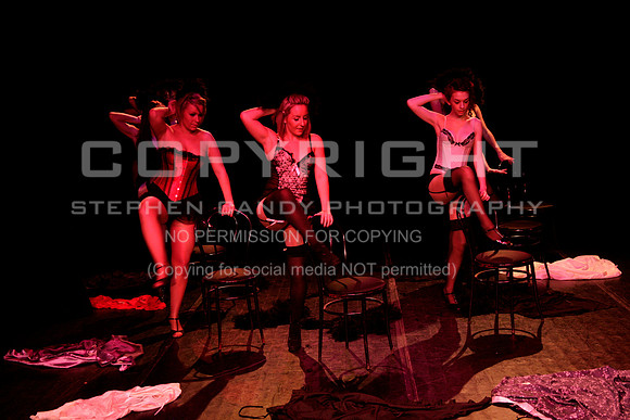 _MG_0558